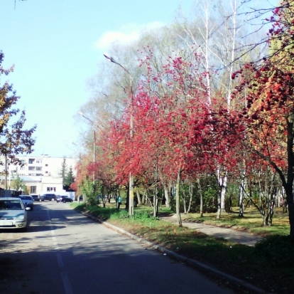 Прогноз погоды на 15 октября по Псковскому региону и Великим Лукам - 2018-10-14 22:02:00 - 1