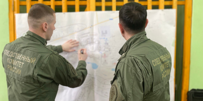Сотрудники СК продолжают поиски пропавшей девочки в Порховском районе - 2024-02-09 09:05:00 - 1