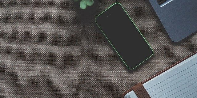 Результаты ЕГЭ можно будет узнать на Госуслугах - 2022-06-10 13:35:00 - 1