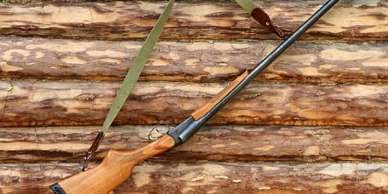 Росгвардейцы изъяли у жителей Псковской области 13 единиц оружия - 2021-03-24 10:36:00 - 1