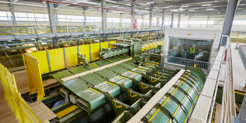 Лесозавод «Судома» увеличивает присутствие на внутреннем рынке - 2023-08-12 13:05:00 - 1