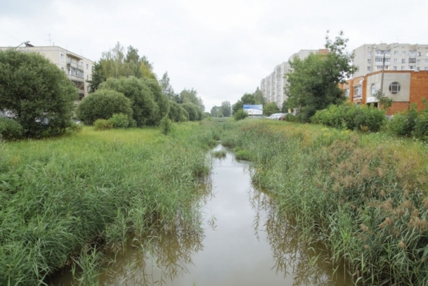 ФОТО: Река Ситовка в районе Вокзальной улицы окончательно заросла травой - 2018-07-27 09:38:00 - 1