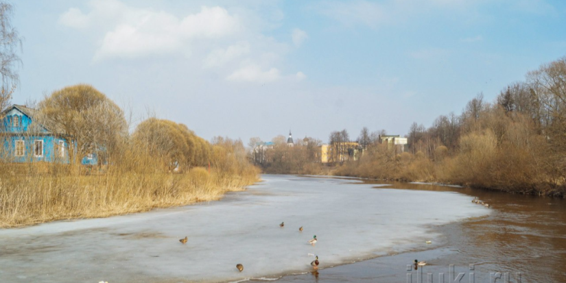 В Великих Луках стартовал месячник по благоустройству - 2024-03-19 11:35:00 - 1