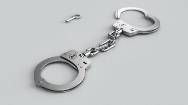 В Красногородске раскрыты два грабежа - 2021-05-31 15:36:00 - 1