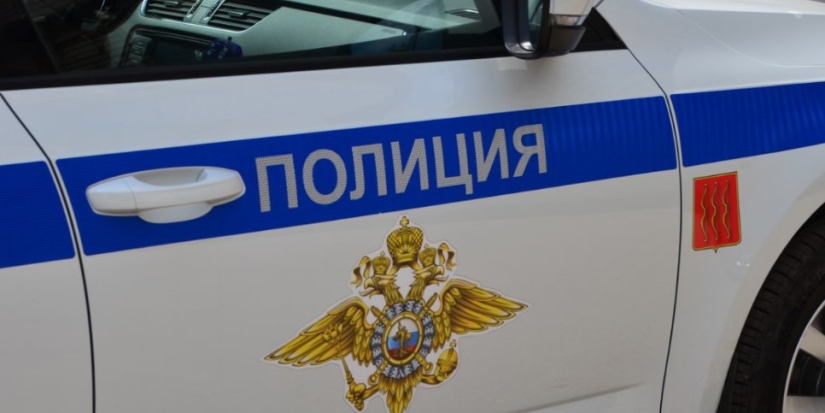 В Великих Луках раскрыто несколько краж - 2022-08-11 17:35:00 - 1