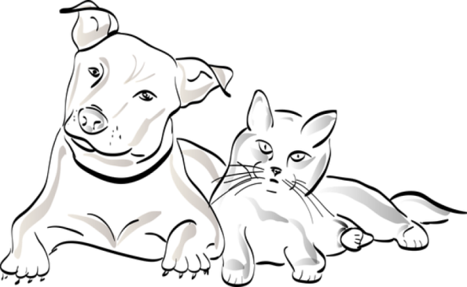 Президент России Владимир Путин подписал закон об ответственном обращении с животными - 2018-12-30 09:14:00 - 1