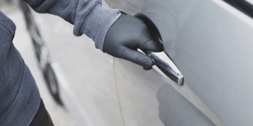 Житель Псковской области подозревается в серии угонов - 2021-02-25 13:36:00 - 1