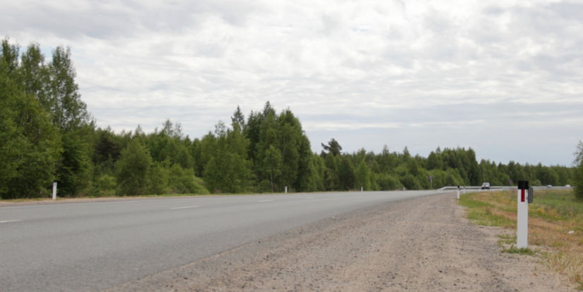 На Северном обходе Пскова установлены светоотражатели для отпугивания животных - 2023-06-01 08:35:00 - 1