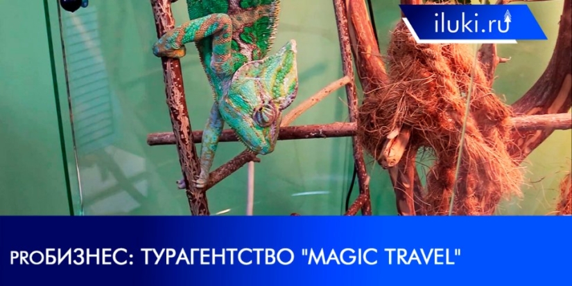 О работе туристической отрасли рассказывает новый выпуск «proБизнес» - 2021-11-22 20:00:00 - 1