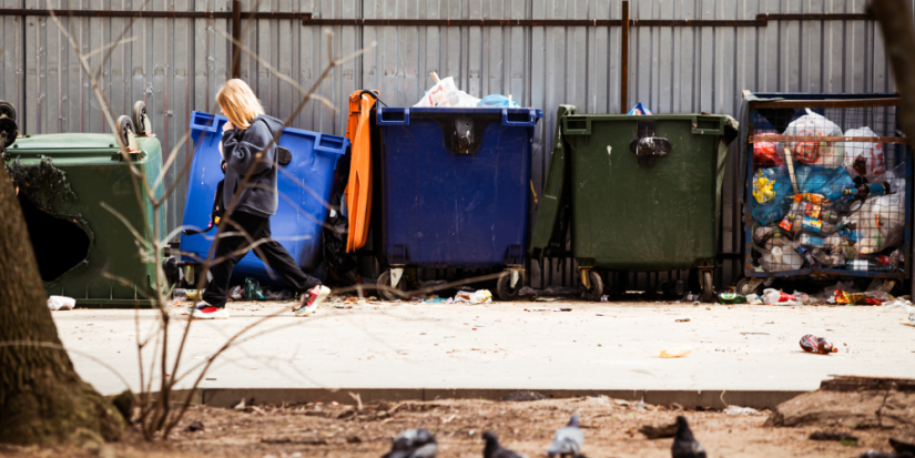 Плату за вывоз мусора снизят в Псковской области - 2024-05-31 16:35:00 - 1