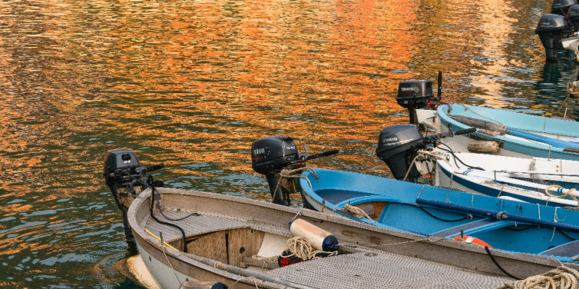 С 15 апреля на водоемах области нельзя будет использовать моторные лодки - 2024-03-29 10:06:00 - 1