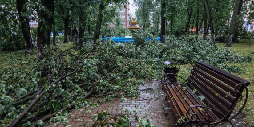 Великолукские полицейские продолжают помогать в ликвидации последствий урагана - 2021-06-29 15:30:00 - 1