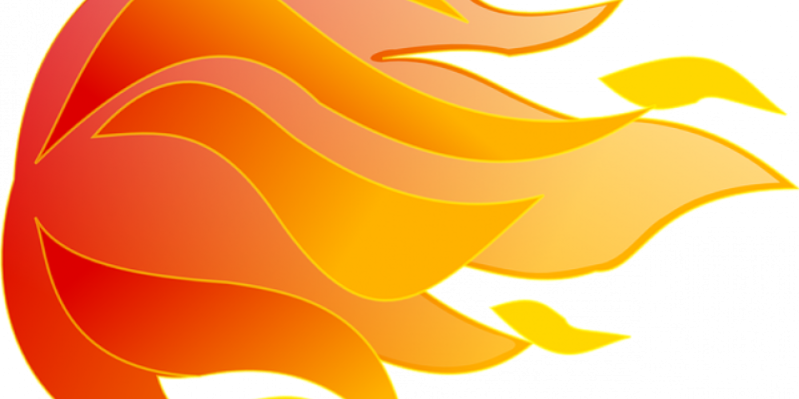 Один человек погиб, еще один пострадал на пожаре в Псковском районе - 2021-02-01 11:43:00 - 1