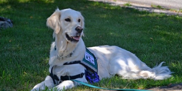 Более 160 кг наркотиков изъято таможней СЗФО при помощи служебных собак - 2021-06-22 11:56:00 - 1