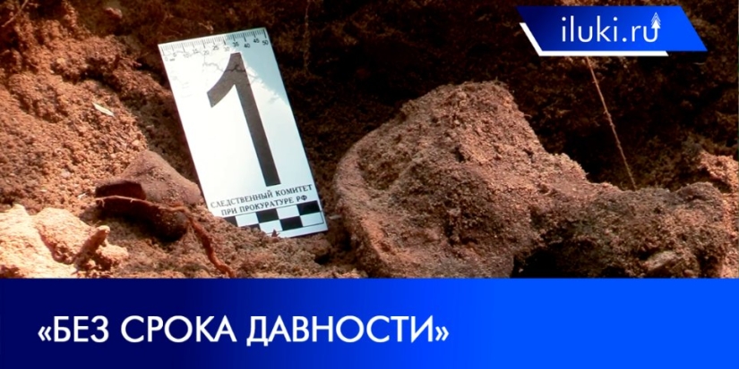 Поисковики продолжают работу в Невельском районе - 2021-07-20 20:00:00 - 1