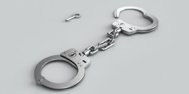 Задержана великолучанка, подозреваемая в крупной краже у своего знакомого - 2021-07-14 16:45:00 - 1