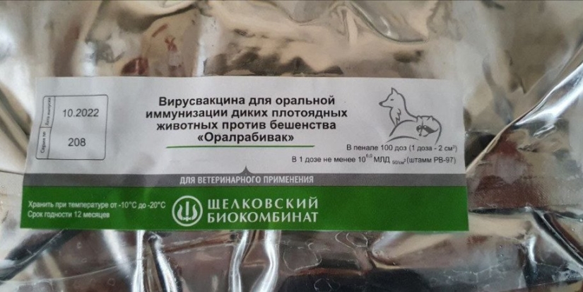 В Псковской области будут прививать от бешенства диких животных - 2022-10-28 11:35:00 - 1