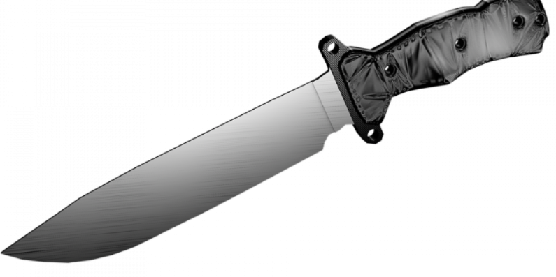 Пскович ударил собутыльника ножом - 2021-01-21 12:13:00 - 1