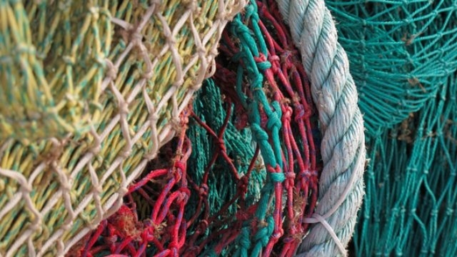 В Печорском районе задержали браконьера - 2021-05-13 13:12:00 - 1