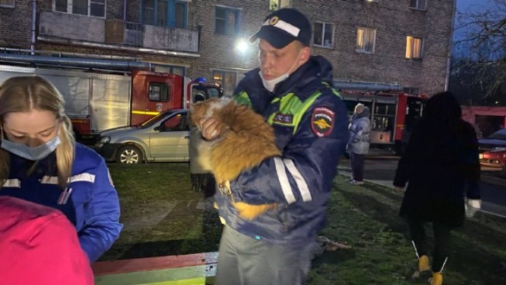 Псковские полицейские спасли на пожаре людей и домашнего питомца - 2021-04-30 11:13:00 - 1