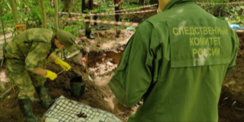 СК работает на месте обнаружения останков узников концлагеря в Дновском районе - 2023-06-02 11:05:00 - 1