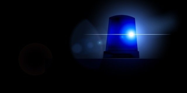 В Великих Луках раскрыты кражи денег и телефона - 2021-06-11 15:13:00 - 1