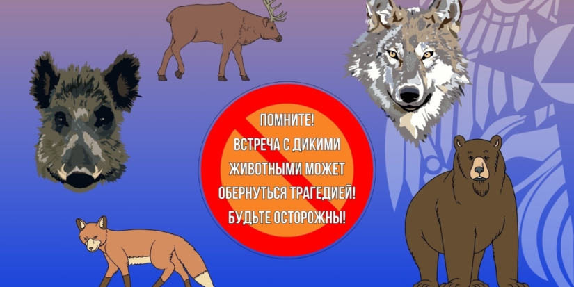В МЧС рассказали, как себя вести при встрече с дикими животными - 2024-02-03 19:05:00 - 1