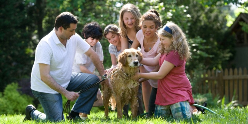 Родители 20 млн детей получили президентские школьные выплаты - 2021-08-28 13:04:00 - 1