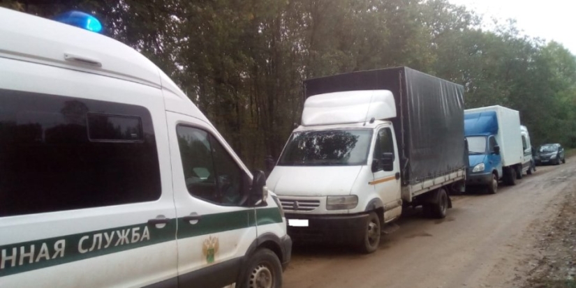 Псковские таможенники пресекли ввоз крупной партии немаркированных сигарет - 2021-09-30 12:11:00 - 1