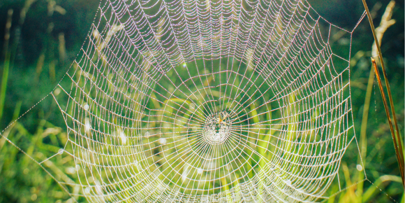 Контроль за мерами профилактики клещевого энцефалита усиллии в регоне - 2023-04-08 18:09:00 - 1