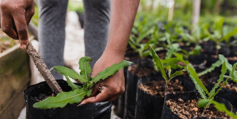 Эксперты обсудили аграрную науку и образование - 2021-12-18 15:00:00 - 1
