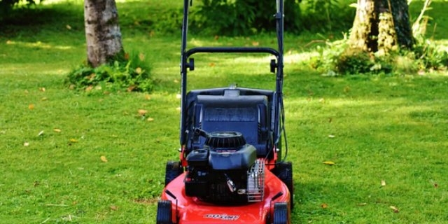 Покос травы в Великих Луках осуществляется по графику - 2021-06-22 09:56:00 - 1