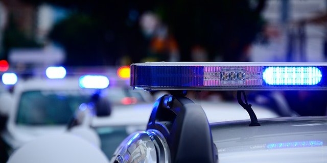 В Себеже няня подозревается в хищении денег из сейфа - 2021-12-15 14:35:00 - 1