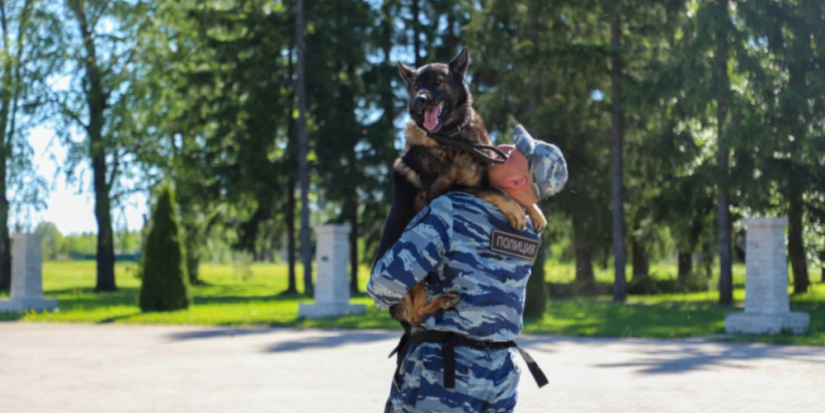 Псковские полицейские провели «День безопасности» для детей Белгородской области - 2024-05-24 15:35:00 - 1