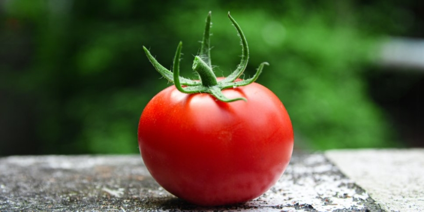 В России будут чаще применять современные агротехнологии - 2021-11-27 15:00:00 - 1