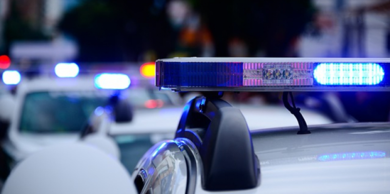 Две кражи раскрыты в Великих Луках - 2021-03-11 10:58:00 - 1