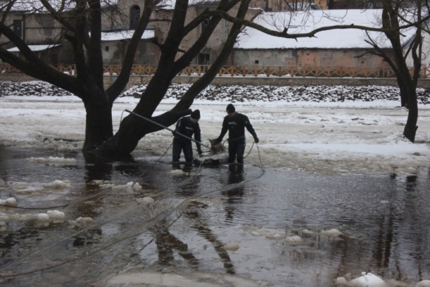 Спасатели в гидрокостюмах пришли на помощь тонувшей в Пскове собаке (ФОТО) - 2016-12-09 18:48:00 - 1