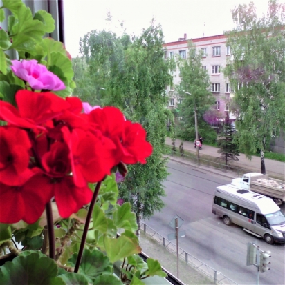 В воскресенье в Великих Луках ожидается до +20°С - 2017-07-01 22:02:00 - 1
