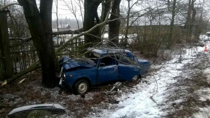 Дерево vs пьяный водитель: авария в Невельском районе (ФОТО) - 2017-01-02 21:40:00 - 1