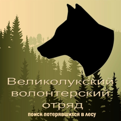 В Куньинском районе пропал человек! Срочно требуется помощь добровольцев! - 2017-07-01 19:32:00 - 1