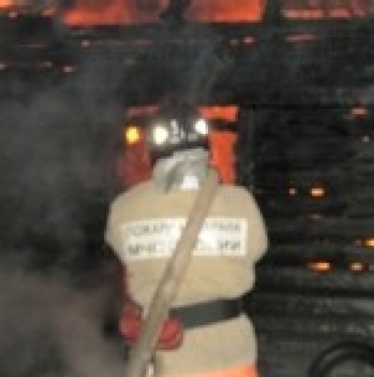 Два пожарных расчета ликвидировали пожар в деревне Синицино Пушкиногорского района - 2017-01-05 12:49:00 - 1