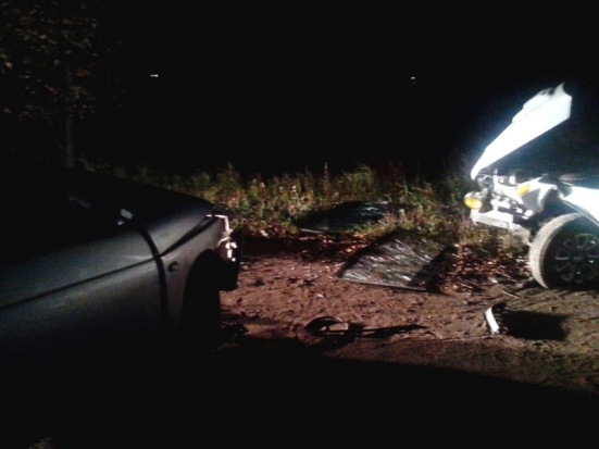 Два великолучанина совершили ДТП в Великолукском районе (ФОТО) - 2016-10-06 15:50:00 - 1