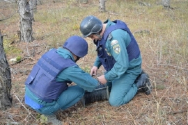 В Псковском районе обезврежено 3 взрывоопасных предмета времен ВОВ - 2017-04-10 06:01:00 - 1