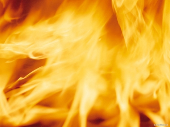 В Порхове произошел пожар со смертельным исходом - 2016-12-12 16:46:00 - 1