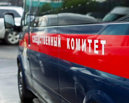 СК: по предварительным данным, годовалый ребенок выпал с четвертого этажа по недосмотру взрослых - 2017-08-21 10:00:00 - 1