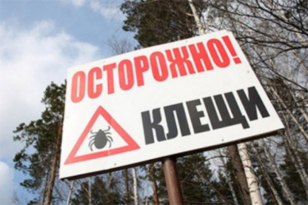 На прошлой неделе 64 жителя Псковской области пострадали от укусов клещей - 2017-09-05 16:36:00 - 1