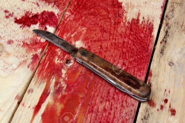 В Пскове ссора двух гостей, запертых гостеприимной хозяйкой, закончилась покушением на убийство - 2016-11-30 12:25:00 - 1