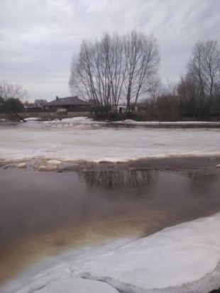 СМОТРИ прямой эфир с участием подростков, спасших одну из девочек, провалившихся под лёд в Великолукском районе! - 2018-04-11 14:40:00 - 1