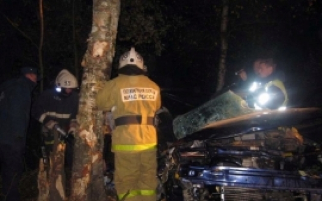 На 45-м километре трассы А-212 «Псков – Изборск» легковой автомобиль попал в ДТП - 2016-11-05 22:13:00 - 1