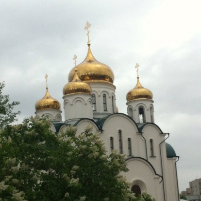 Завтра в Великих Луках ожидается до +12°С - 2017-06-01 22:02:00 - 1